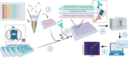  Visual representation of the methods used in the laboratory 