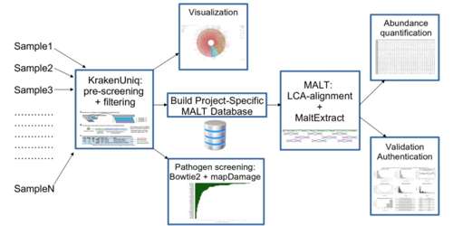  Figure 1 from Pochon et al. (2023) showing ancient metgenomic profiling(aMeta) workflow overview. 