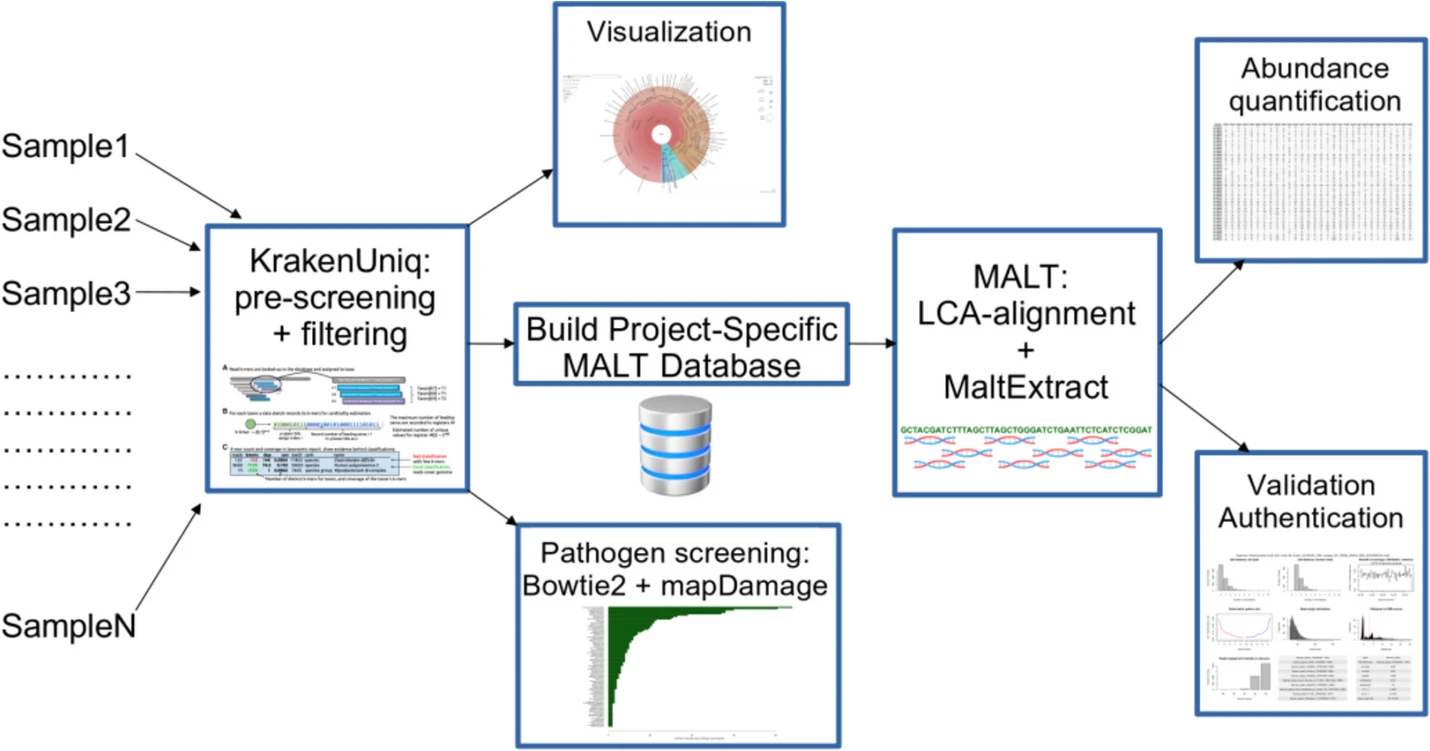 aMeta; a new metagenomic profiling workflow for ancient DNA