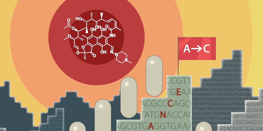  New study shows that perserverance can be the reason for antibiotic resistance development