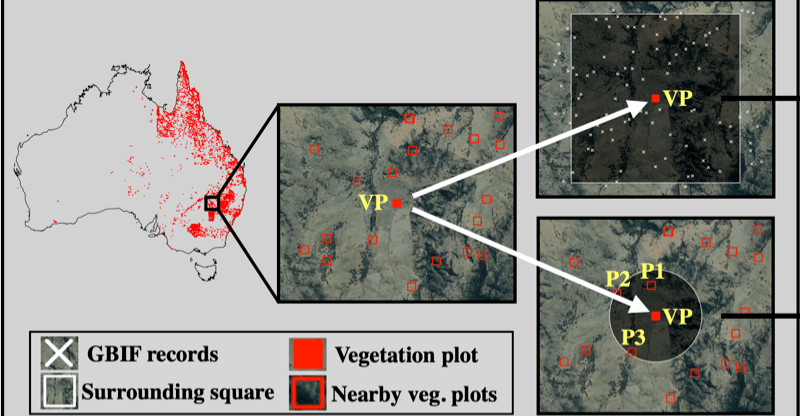  A deep learning framework to estimate species diversity