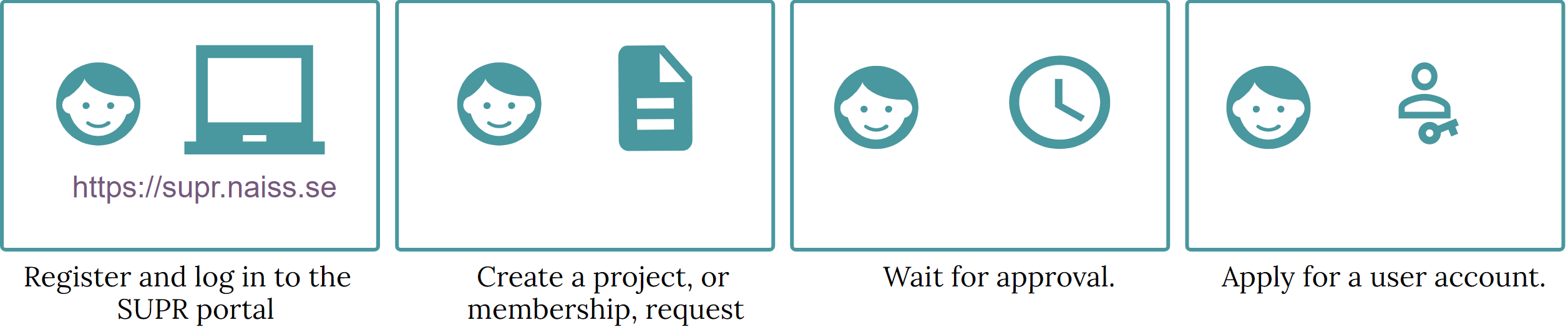 National Academic Infrastructure for Supercomputing in Sweden workflow