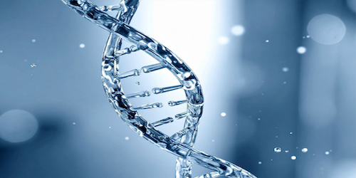 SciLifeLab Swedish Reference Genome Portal