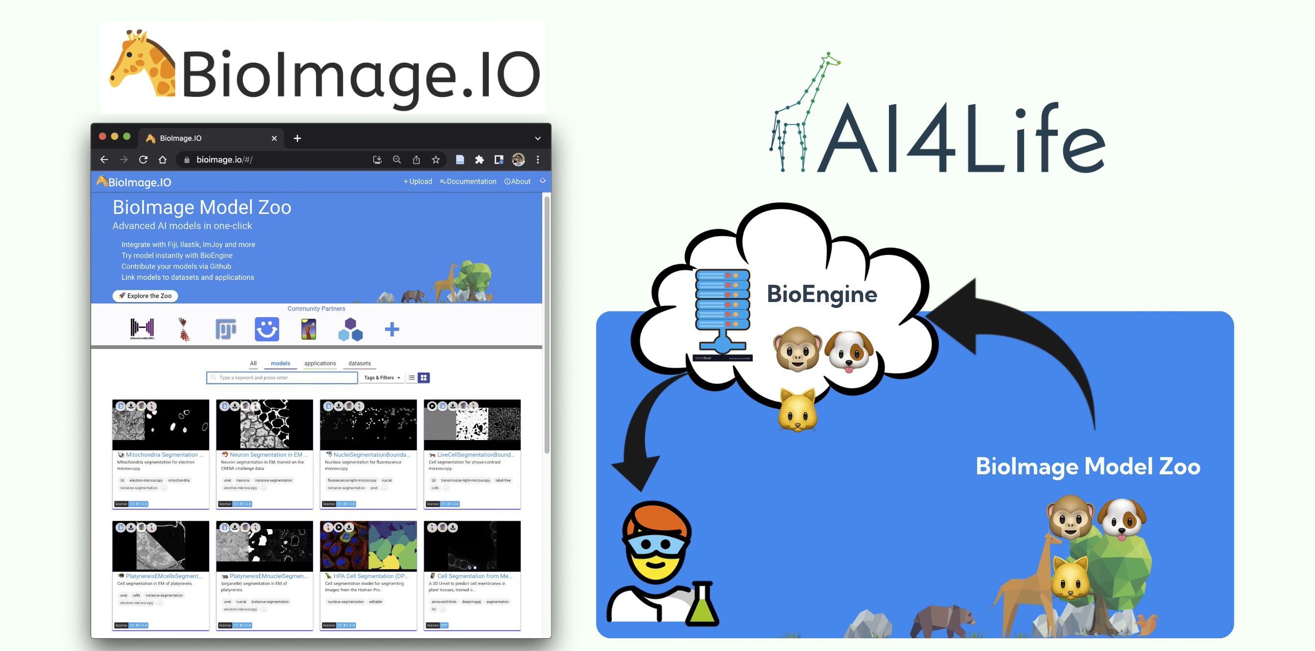 AI4Life BioImage Model Zoo