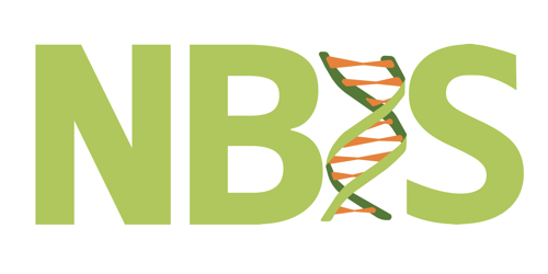 Software development